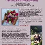 Sacred Peruvian Nature Practices--SOLD OUT